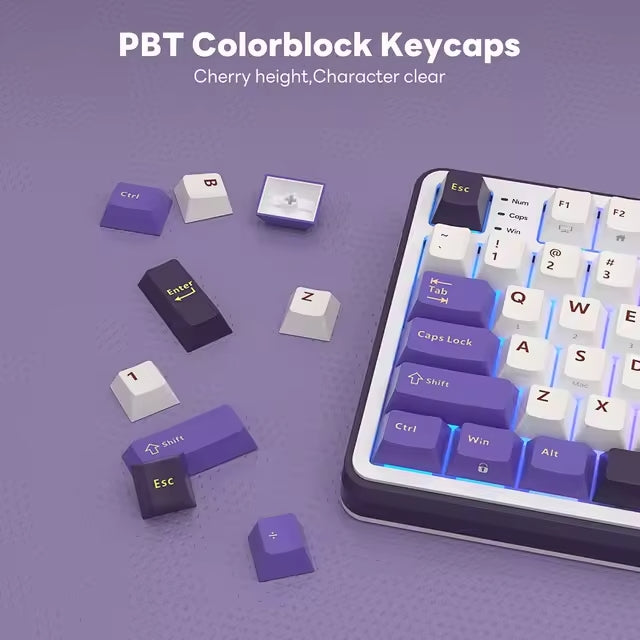Teclado Mecánico Royal Kludge RK S98 Blackberry