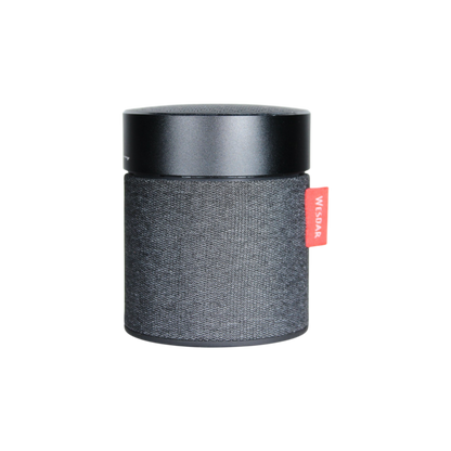 Parlante Bluetooth Wesdar K52 Black