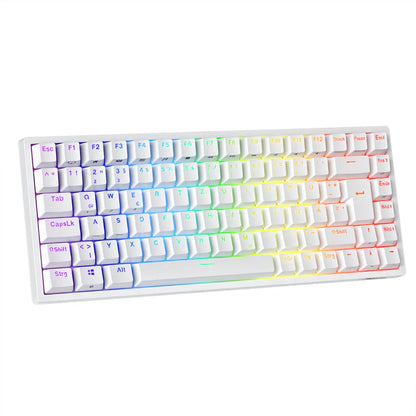 Teclado Mecánico Royal Kludge RK84 White