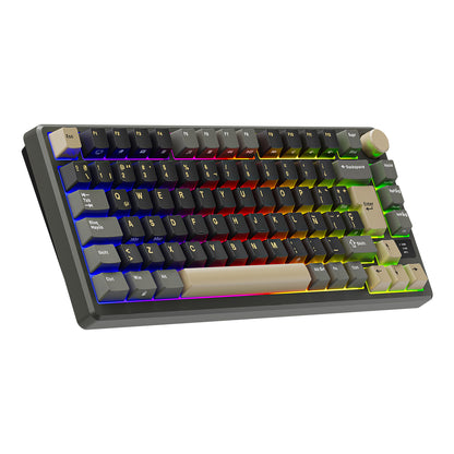 Teclado Mecánico Royal Kludge RK-M75 Phantom 75%