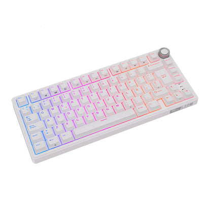 Teclado Mecánico Royal Kludge RK R75 White