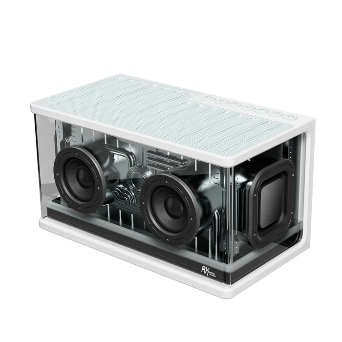 Parlante Royal Kludge RK SH100 RGB