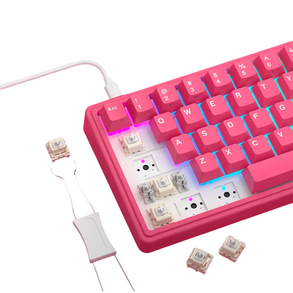 Teclado Mecánico Royal Kludge R65 Berry Red Español